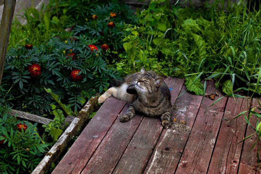 Photograph by Сергей Аникушин