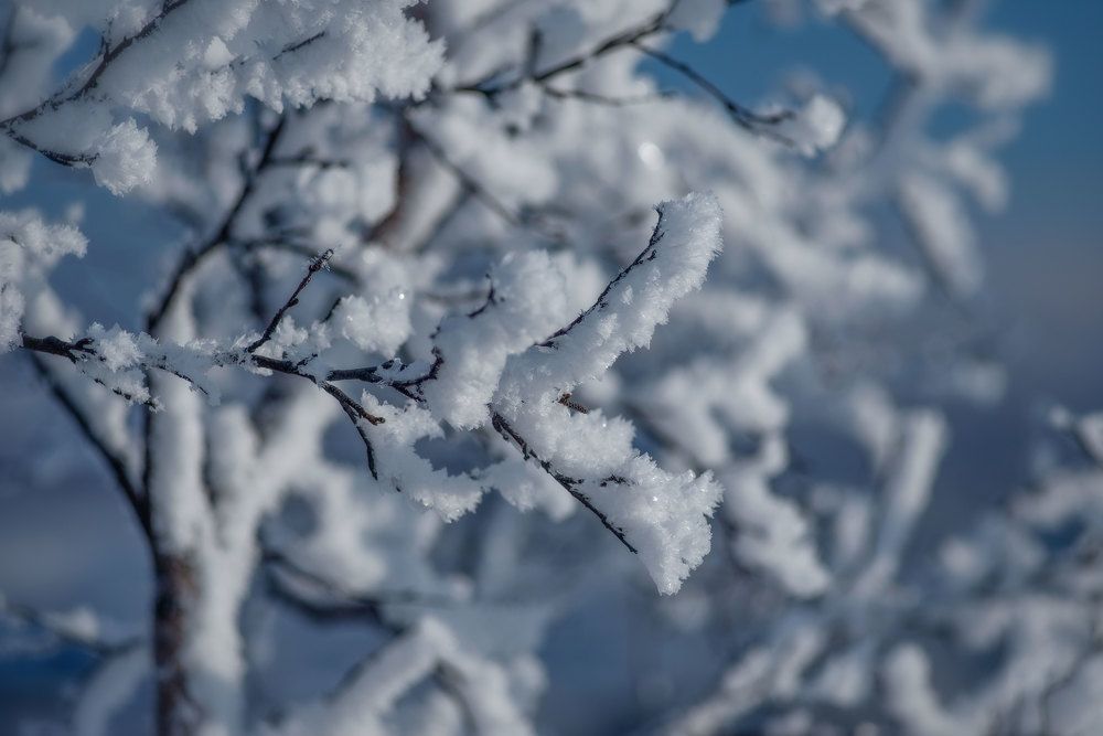 Photograph by Марина Зборацкая