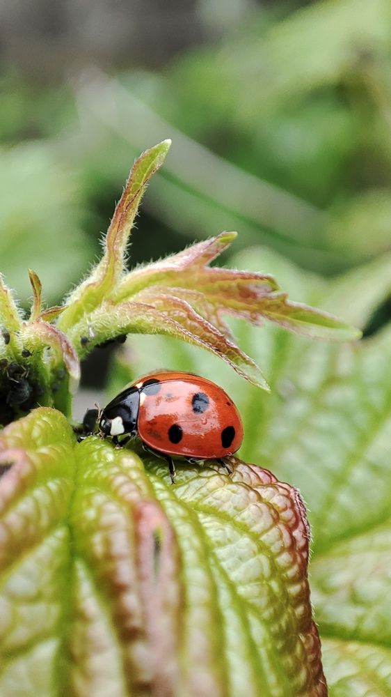 Photograph by Ангелина