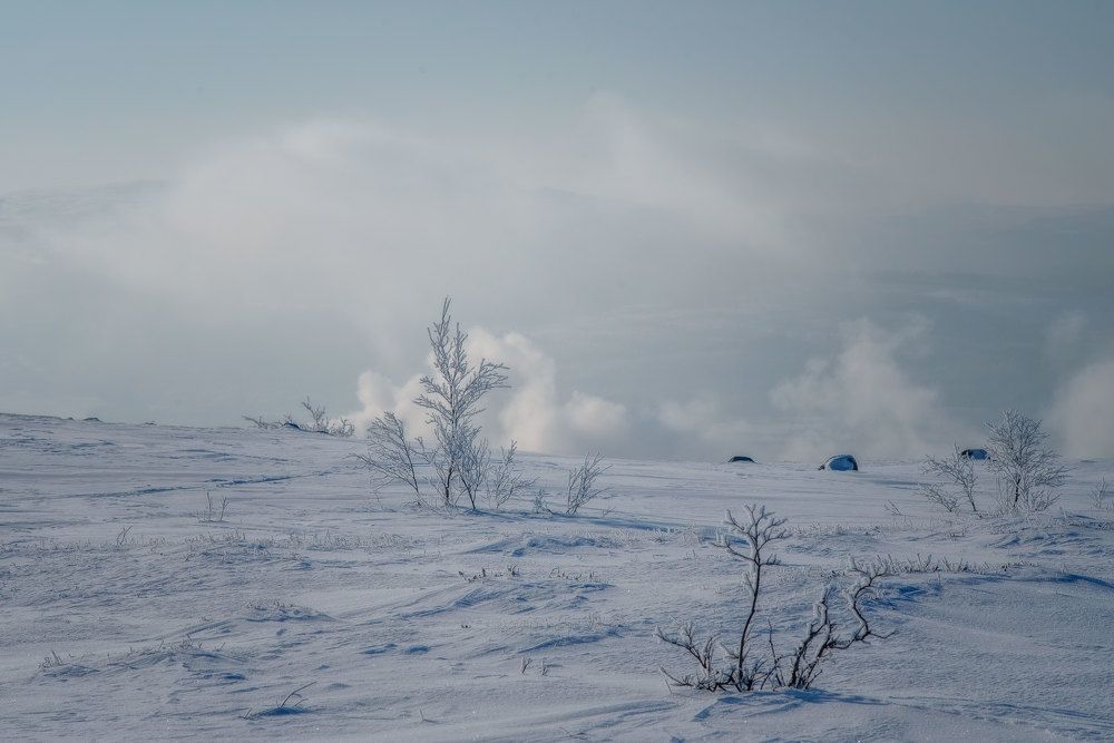Photograph by Марина Зборацкая