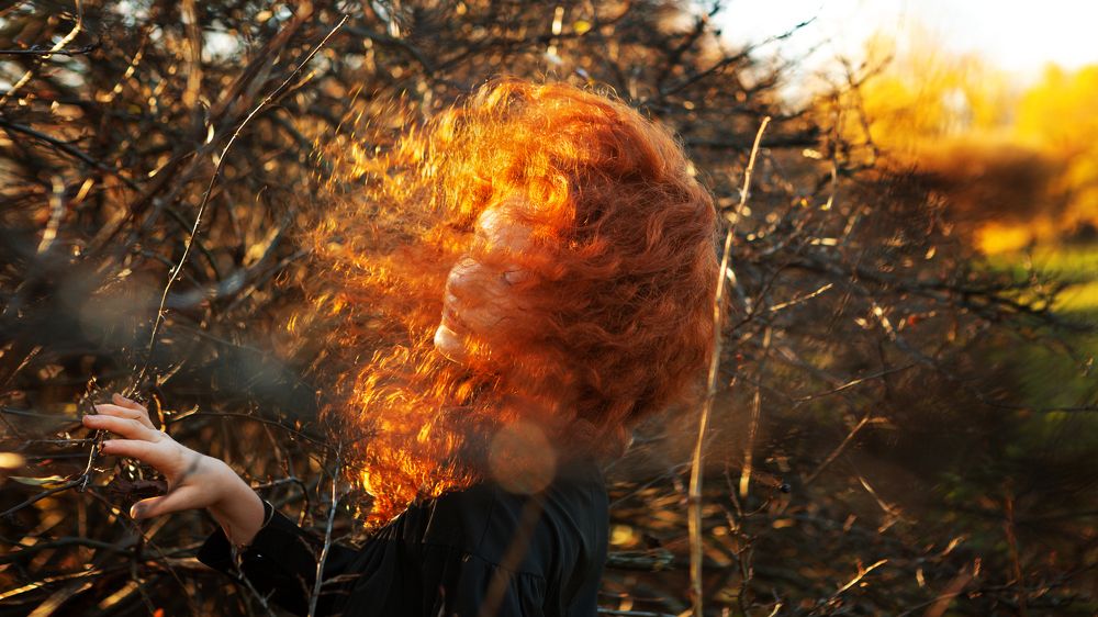 Photograph by Елизавета Чечевица