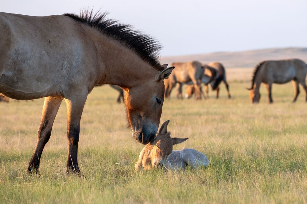 Photograph by Ирина Мошковская