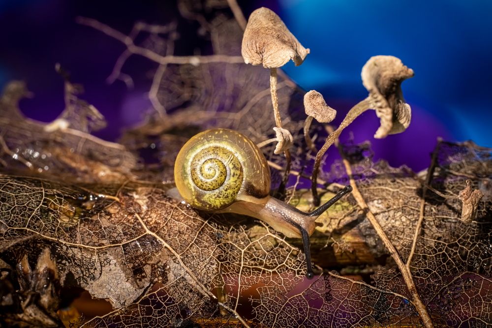 Photograph by Николай Фонарёв