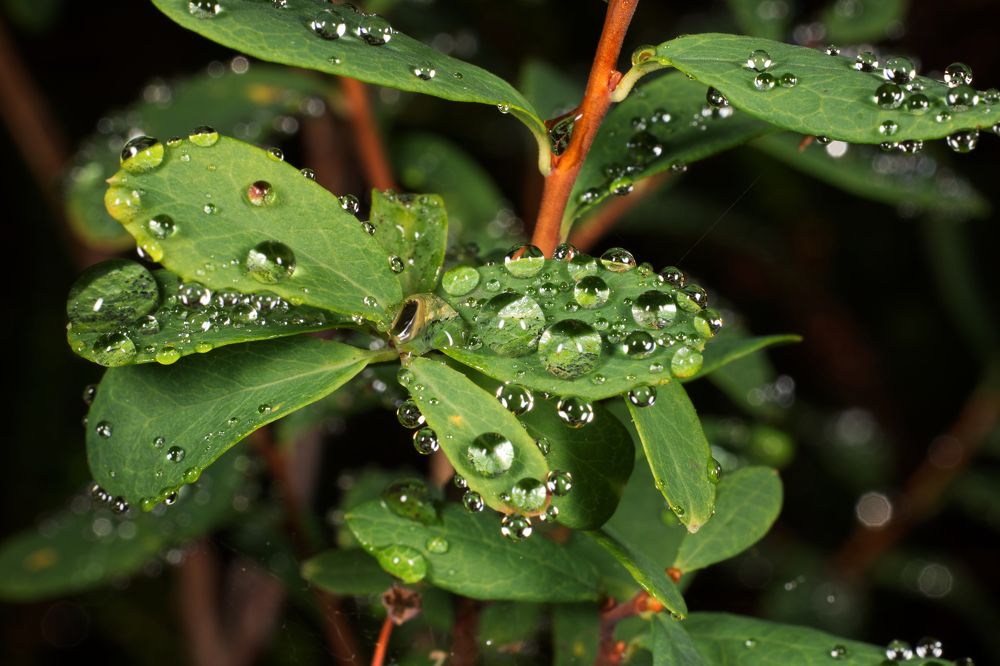 Photograph by Yuriy Teplukhin