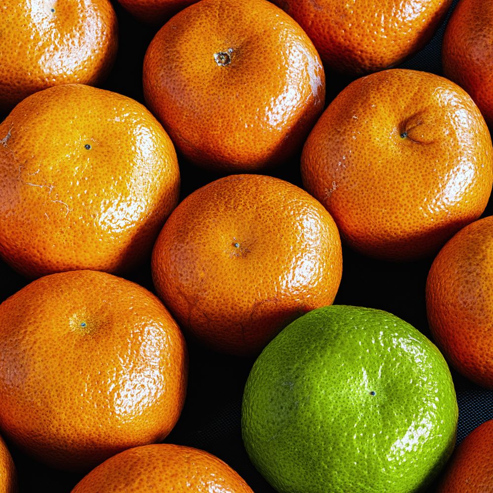 Photograph by Aleksandr Belov