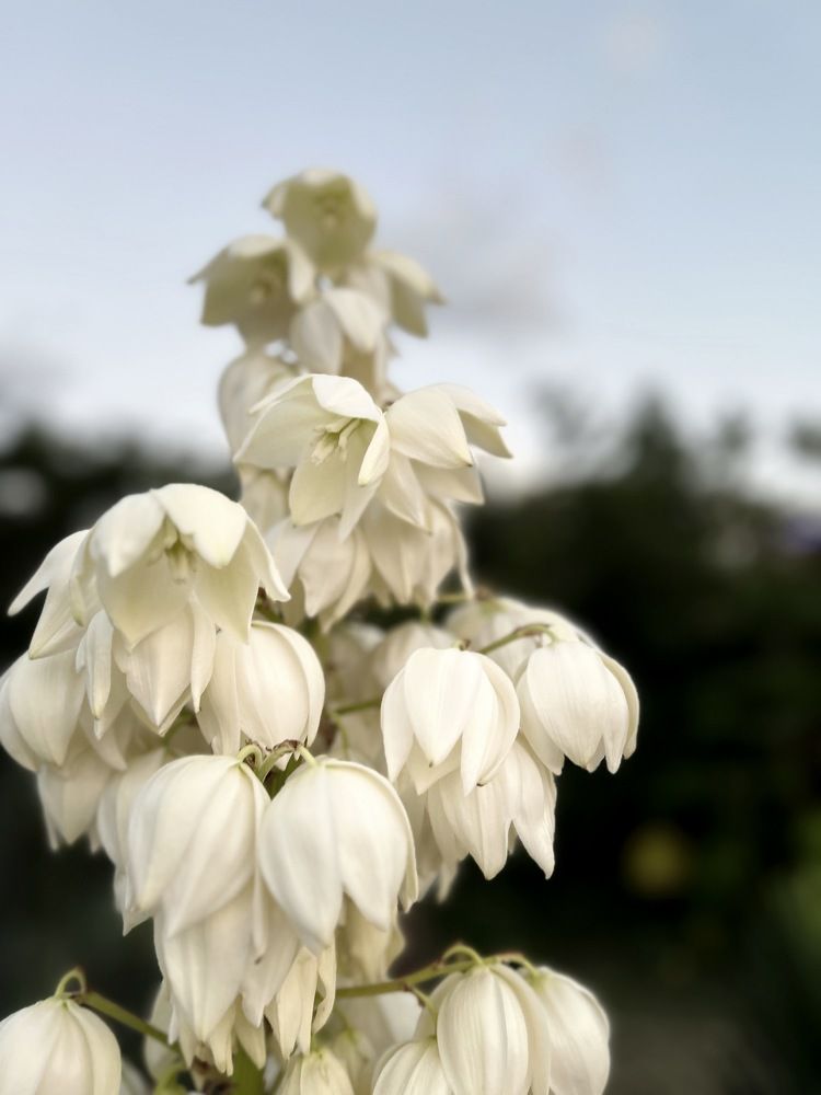 Фотография автора Nastasya Sablina