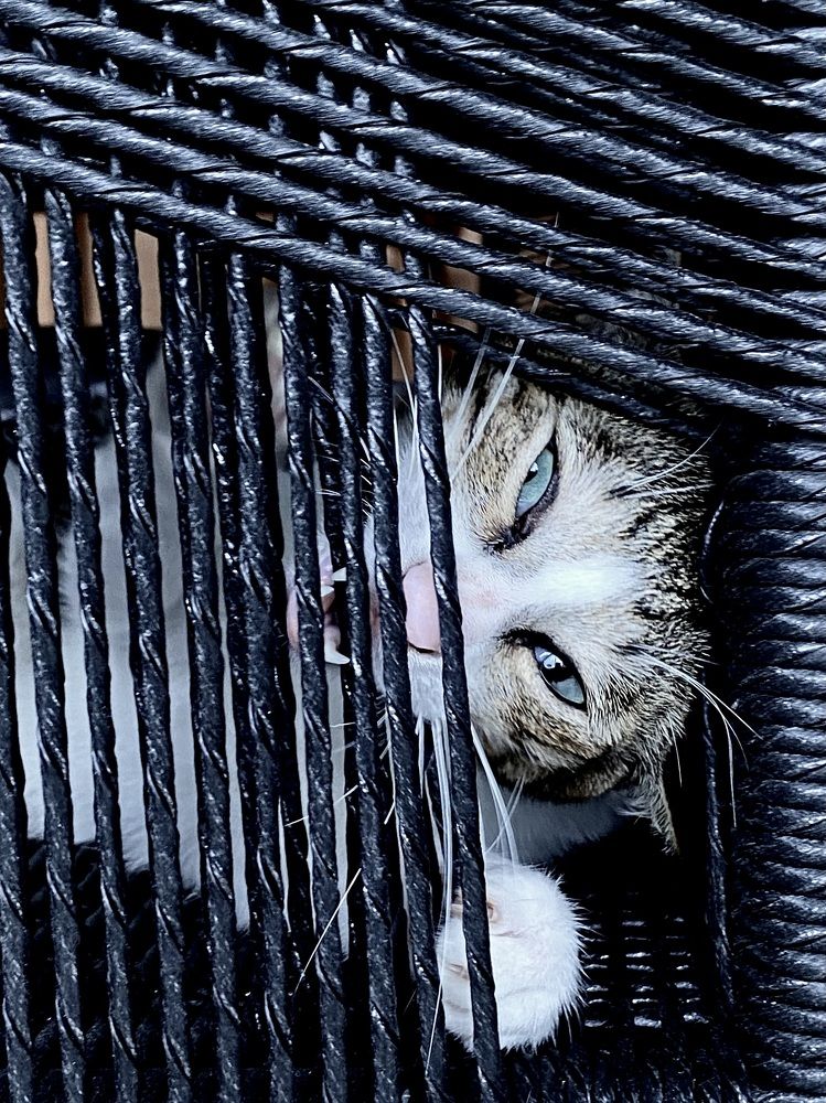 Photograph by Ирина Сорока