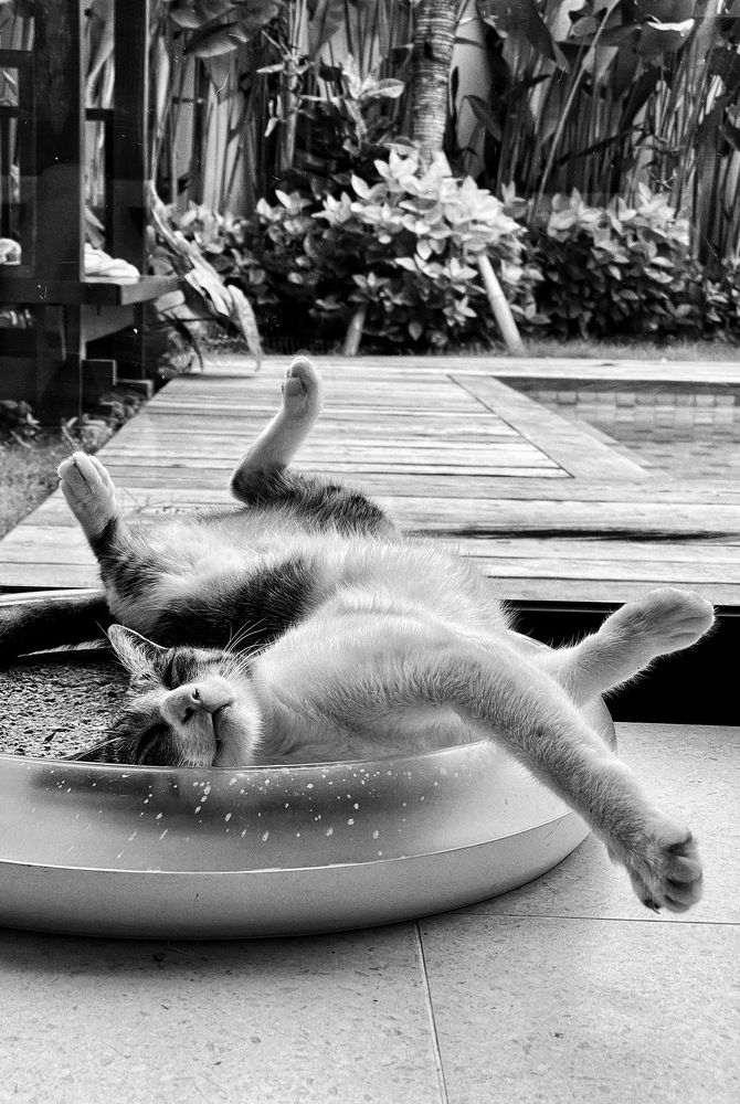 Photograph by Ирина Сорока