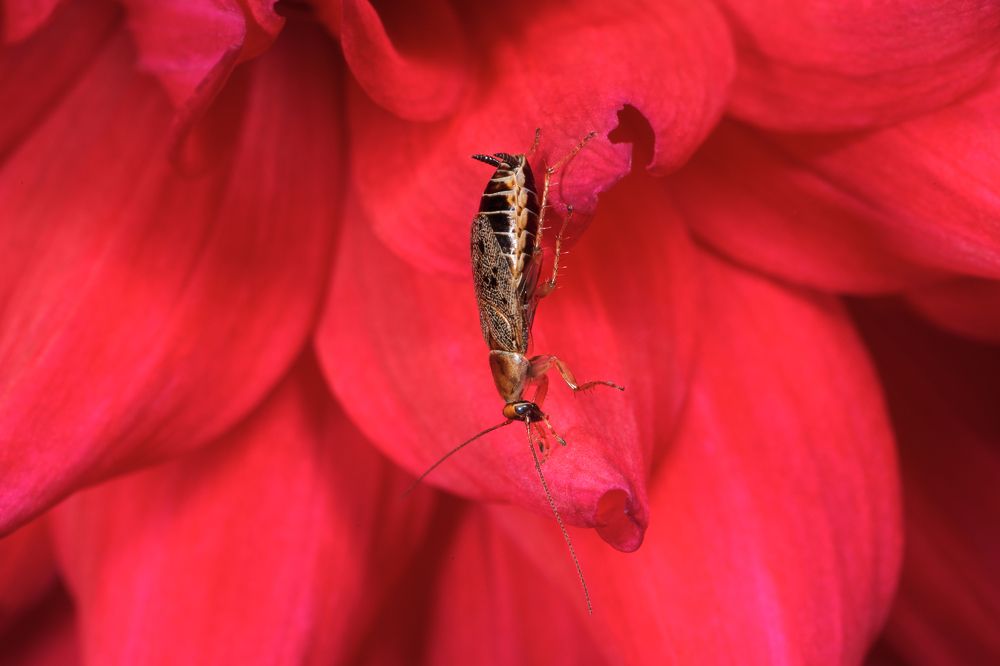 Photograph by Yuriy Teplukhin