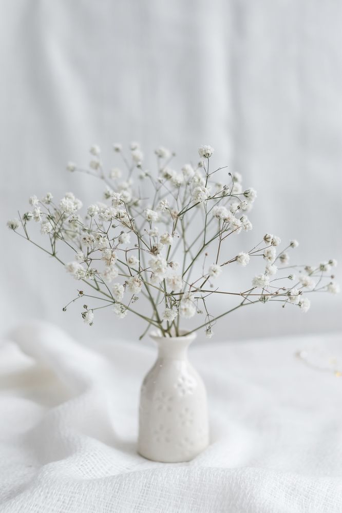 Photograph by Ольга Осинина