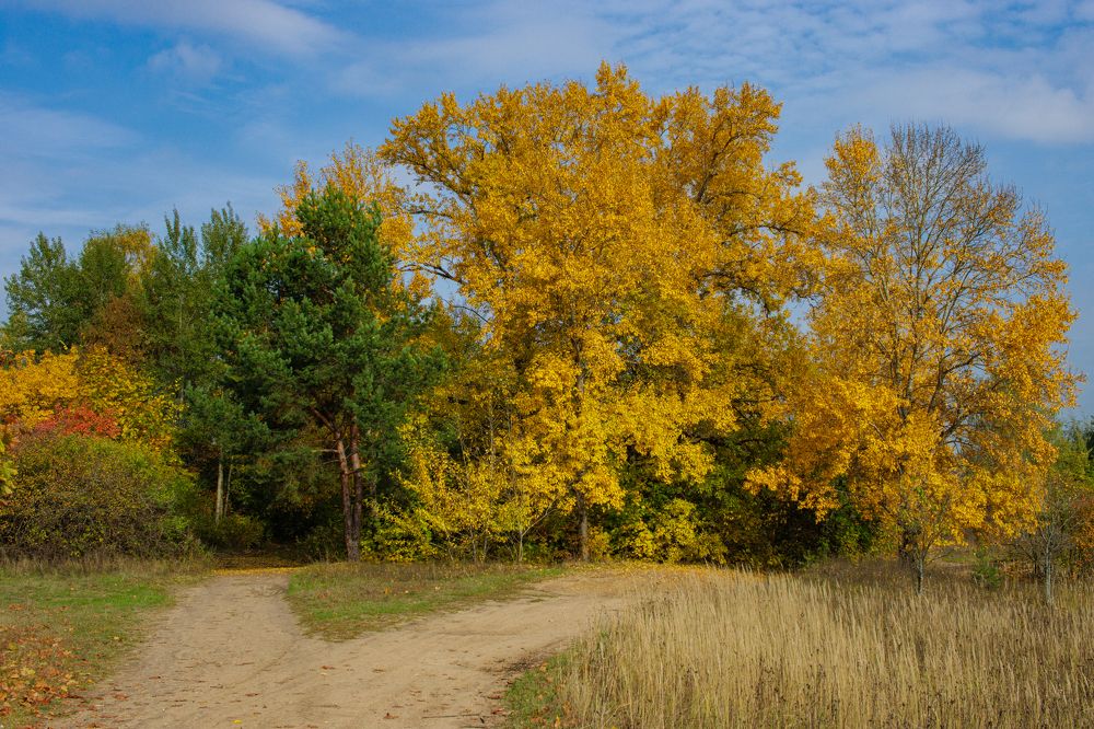 Photograph by Сергей Щербаков