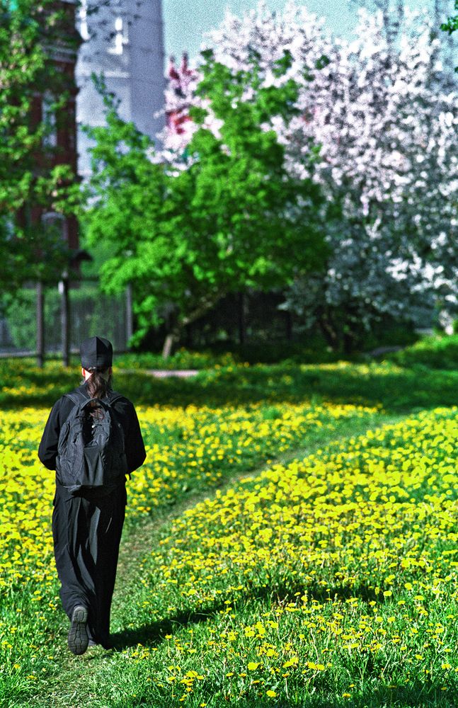 Фотография автора Alexey Drozdov