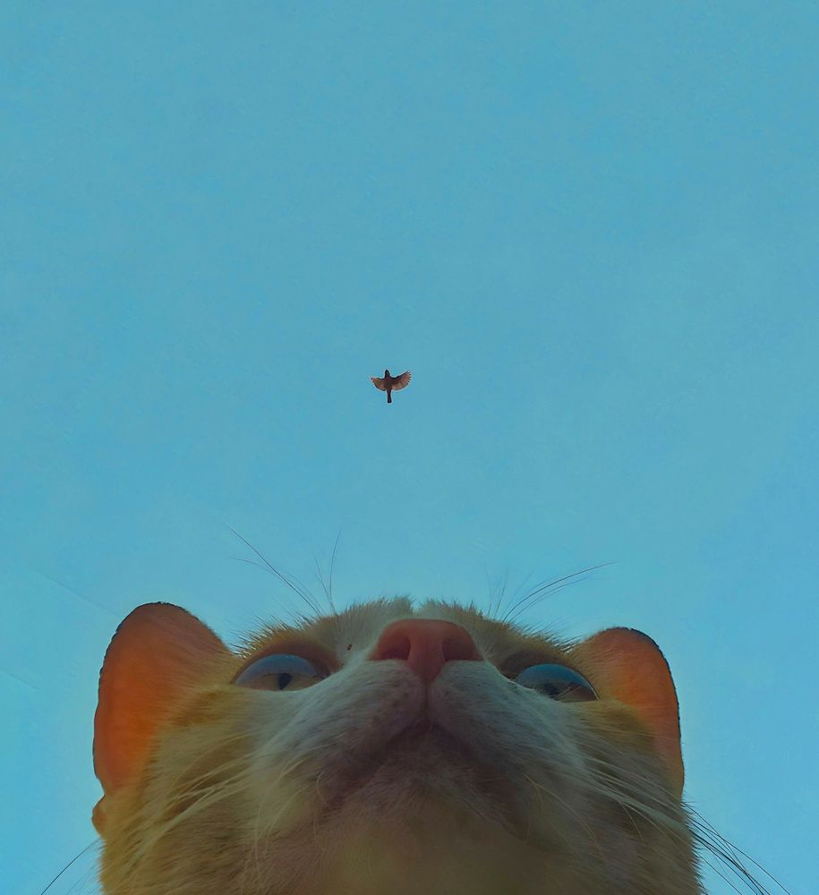 Photograph by Adel Sami