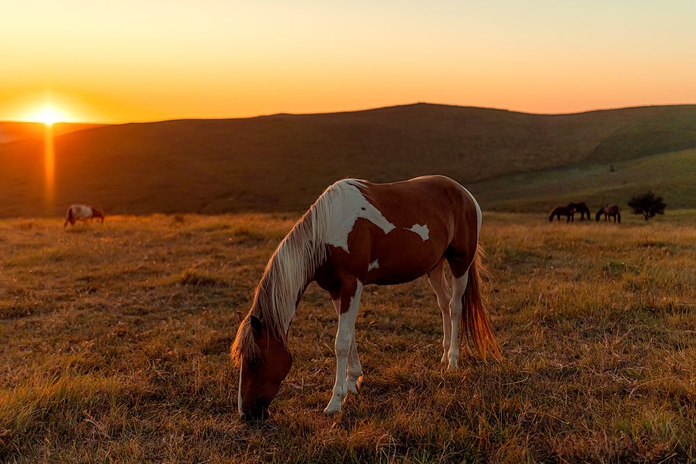 Photograph by Ольга Шульгина
