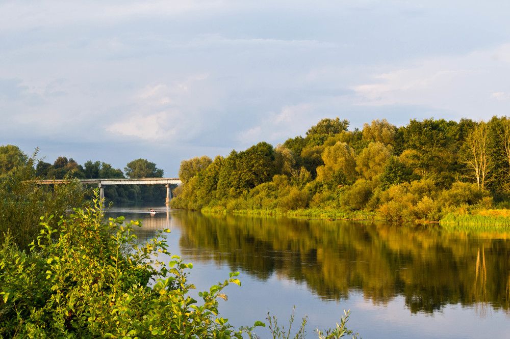 Фотография автора Юлия Кранина