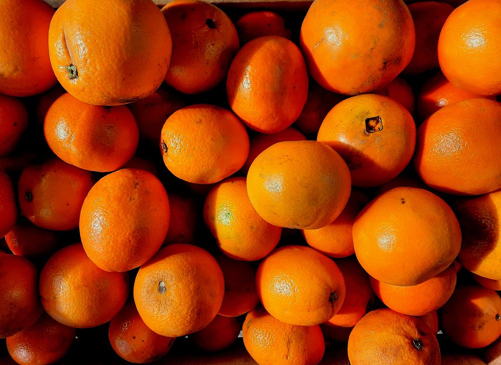 Photograph by Beatriz Games