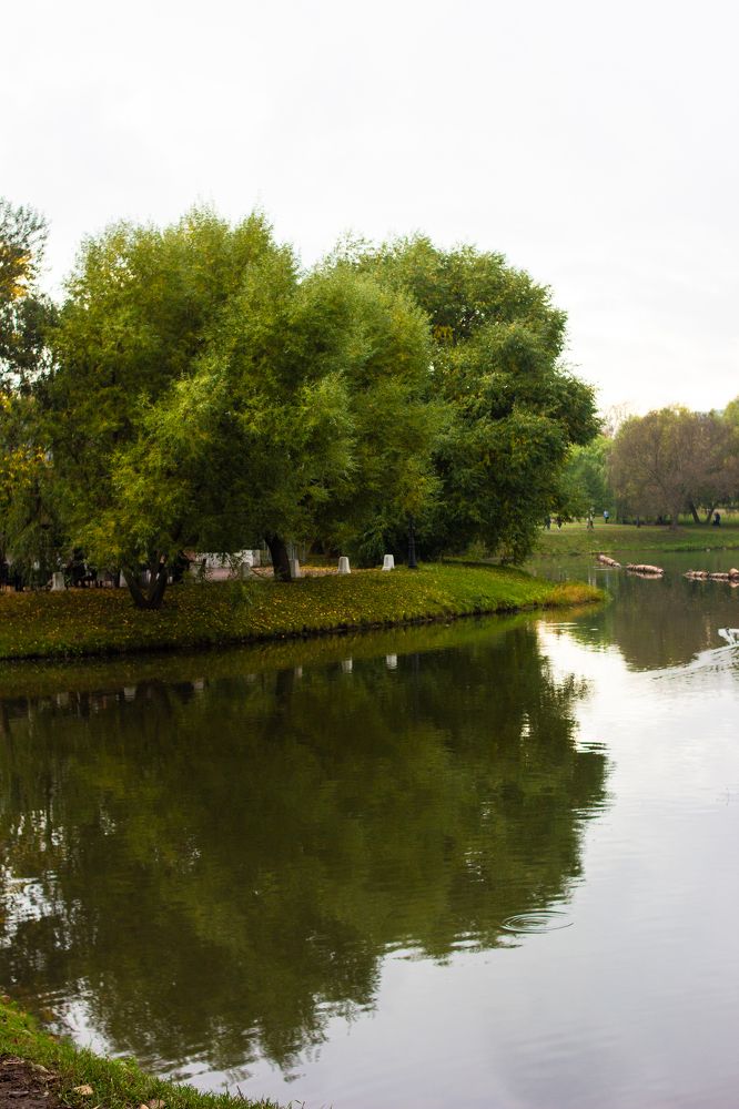 Photograph by Анна Авилочкина