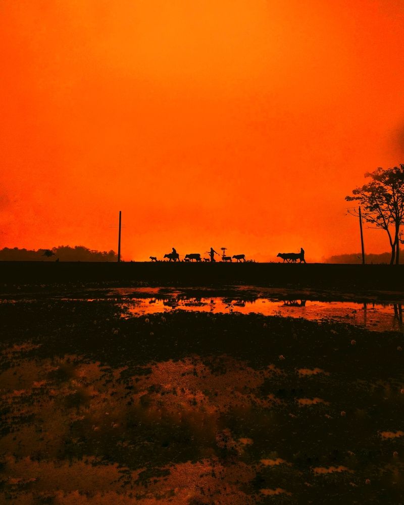 Фотография автора PRADIPTAMOY PAUL