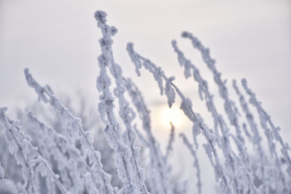 Photograph by Королева Екатерина