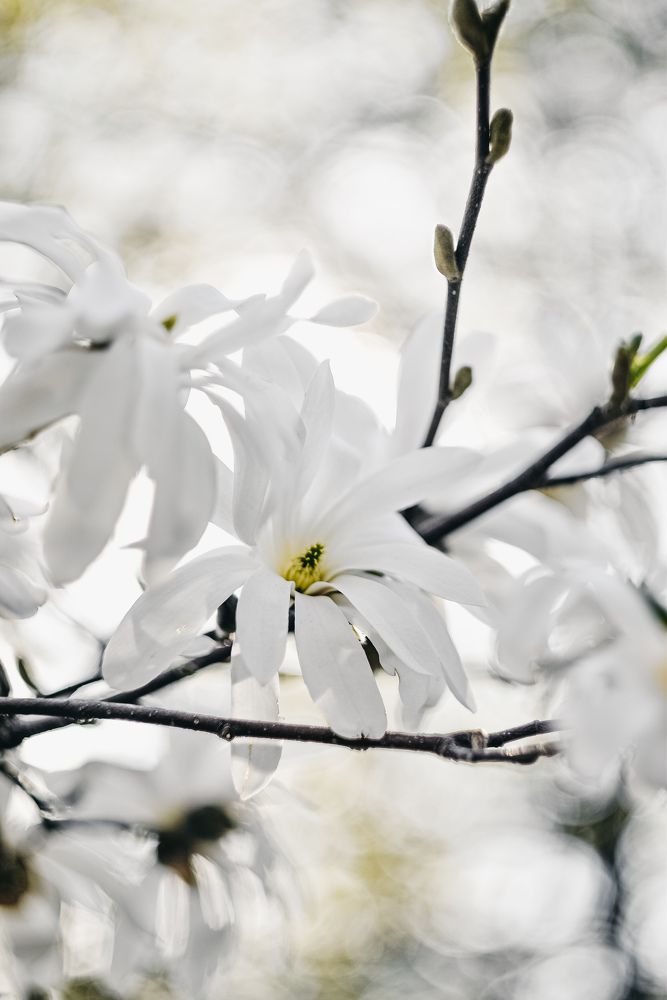 Photograph by Королева Екатерина