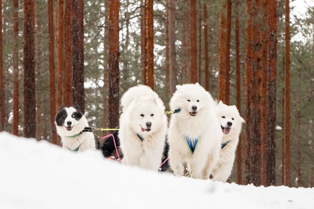 Photograph by Илья Юфа