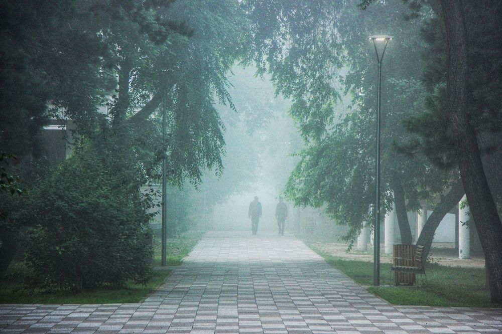 Photograph by Владимир Сушкин