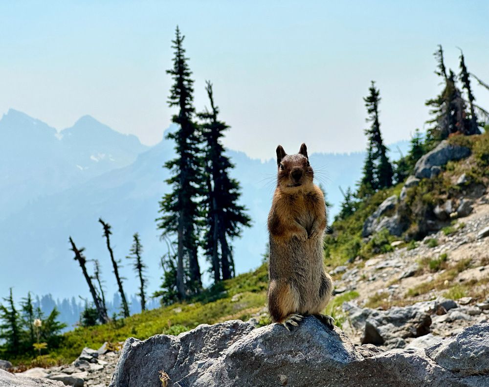 Photograph by Микова Юлия