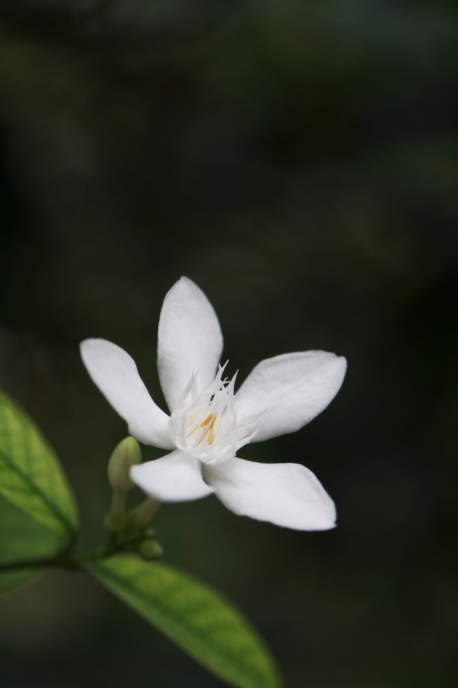 Photograph by Meilany Wijaya