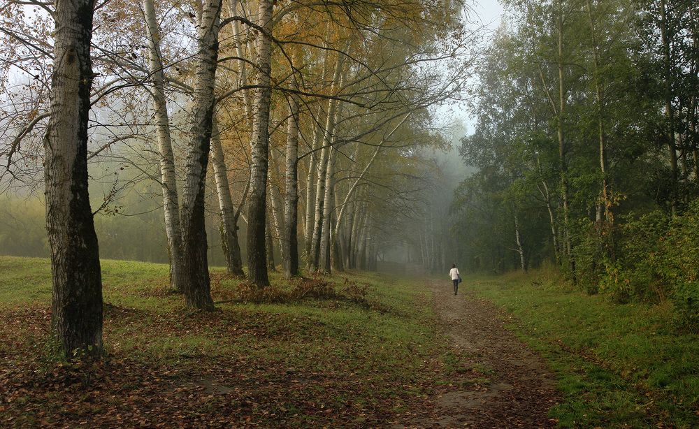 Photograph by Алексей Хахлов