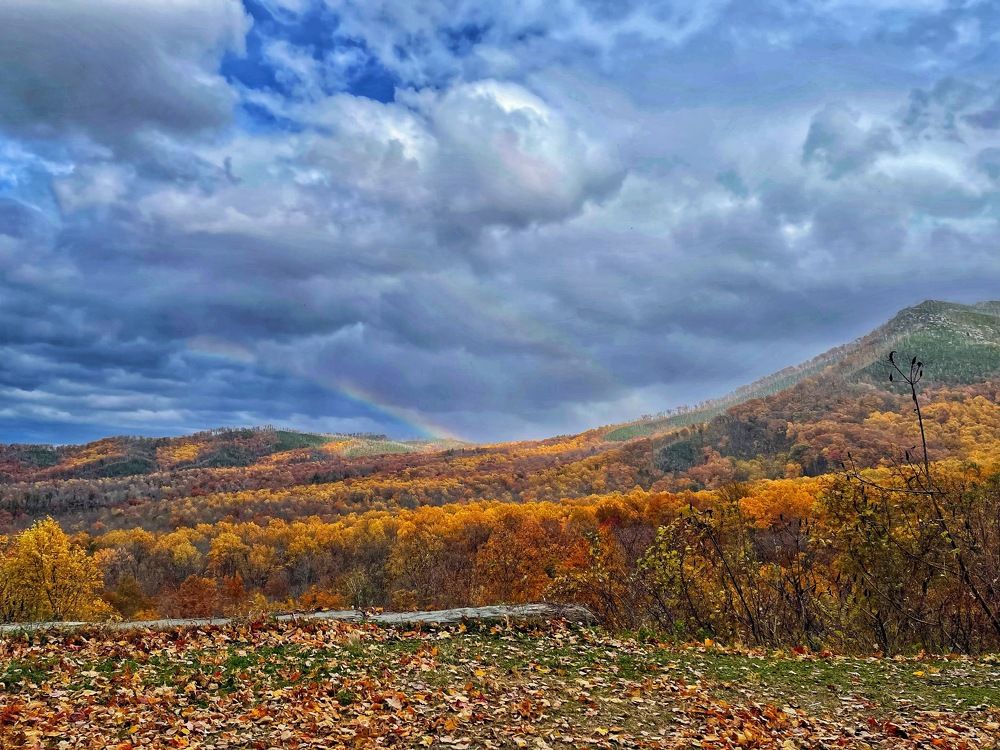 Photograph by Tyler Dewees