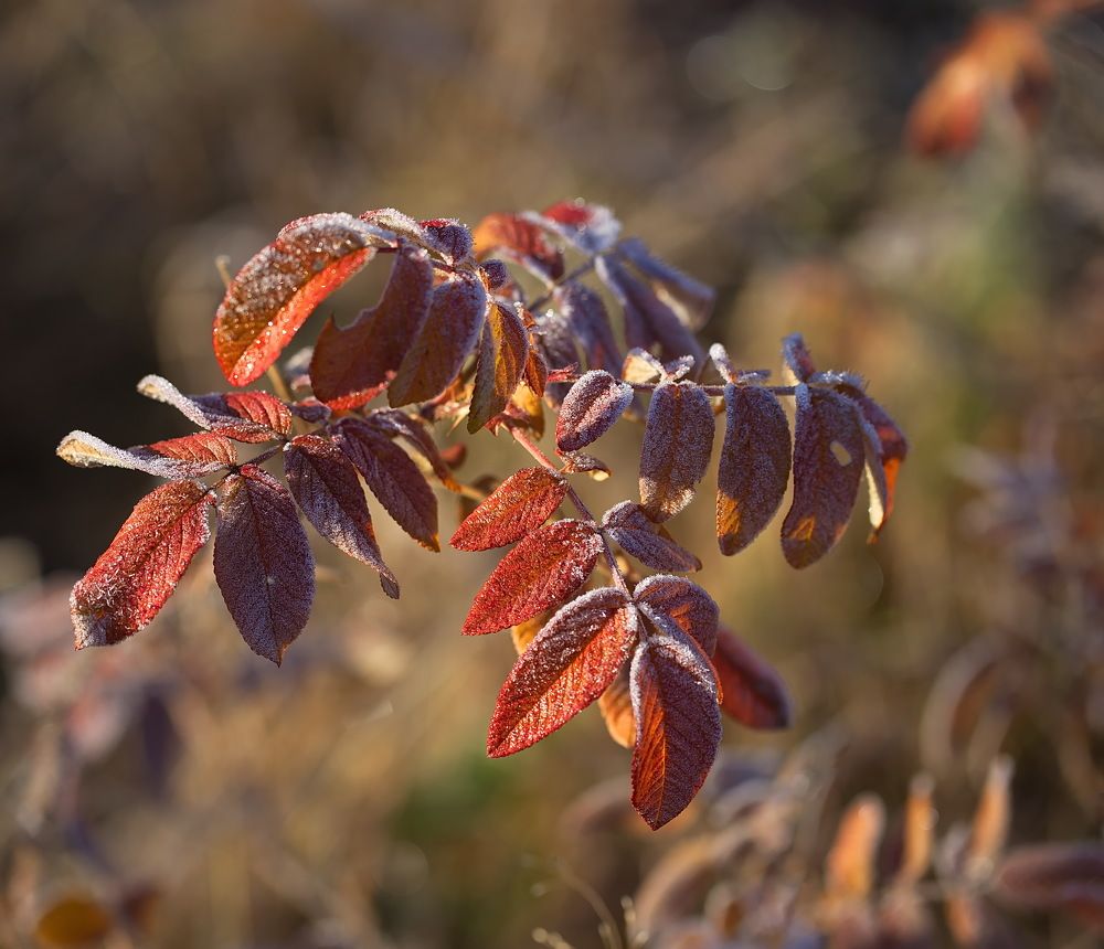 Photograph by Анатолий Васильев