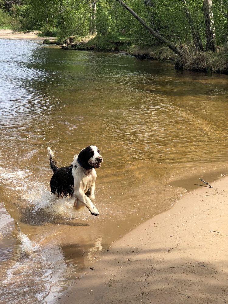 Photograph by Мария Бессмертная