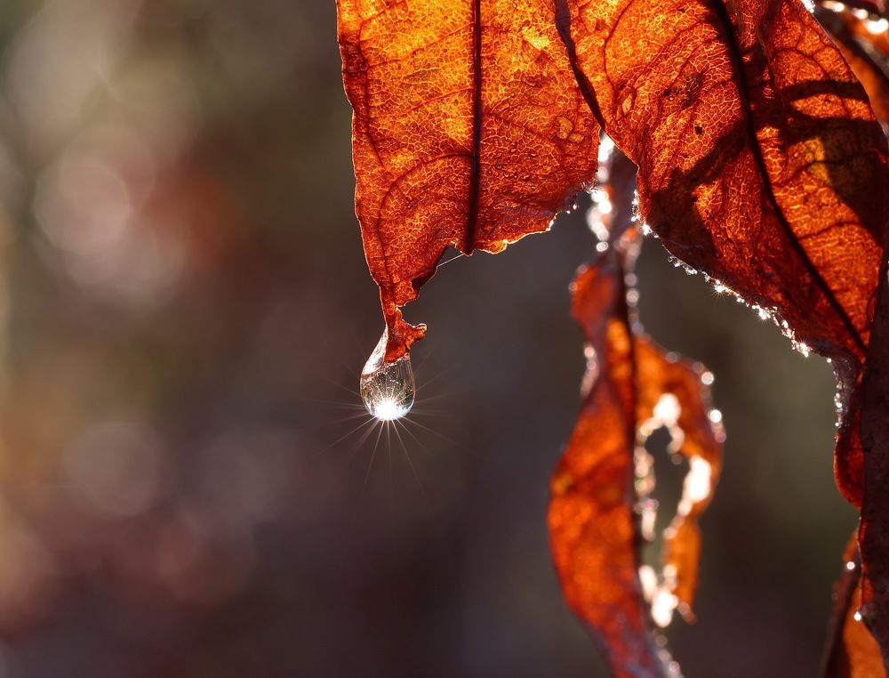 Photograph by Анатолий Васильев