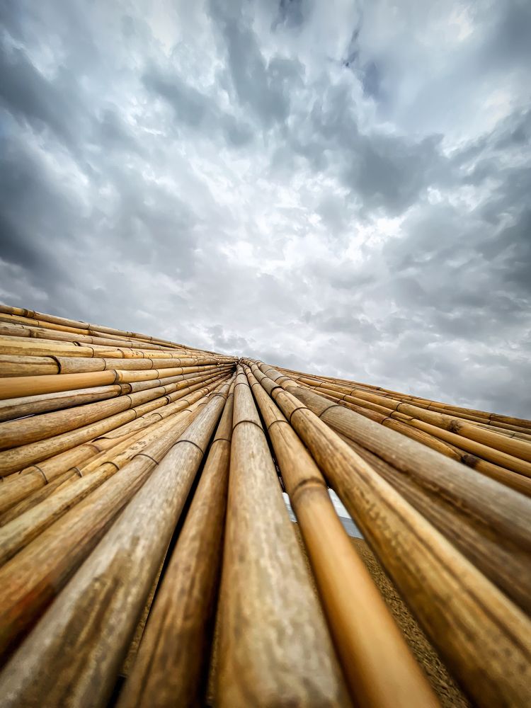 Photograph by Marina David