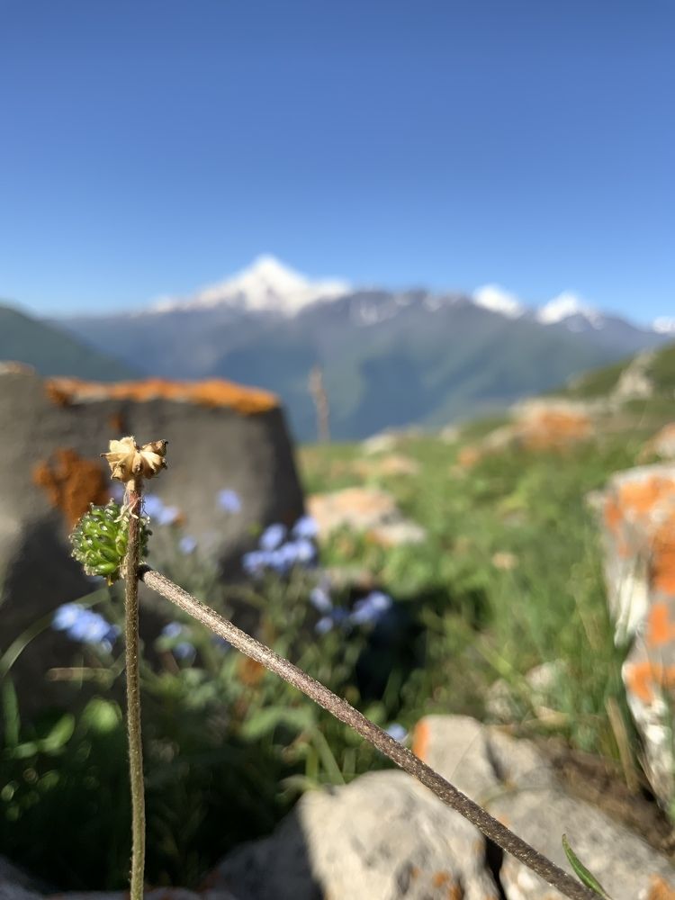 Photograph by Кристина Данилина