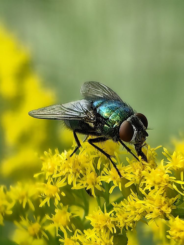 Photograph by Елена Акимова