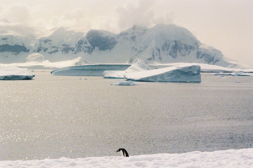 Photo #9475824