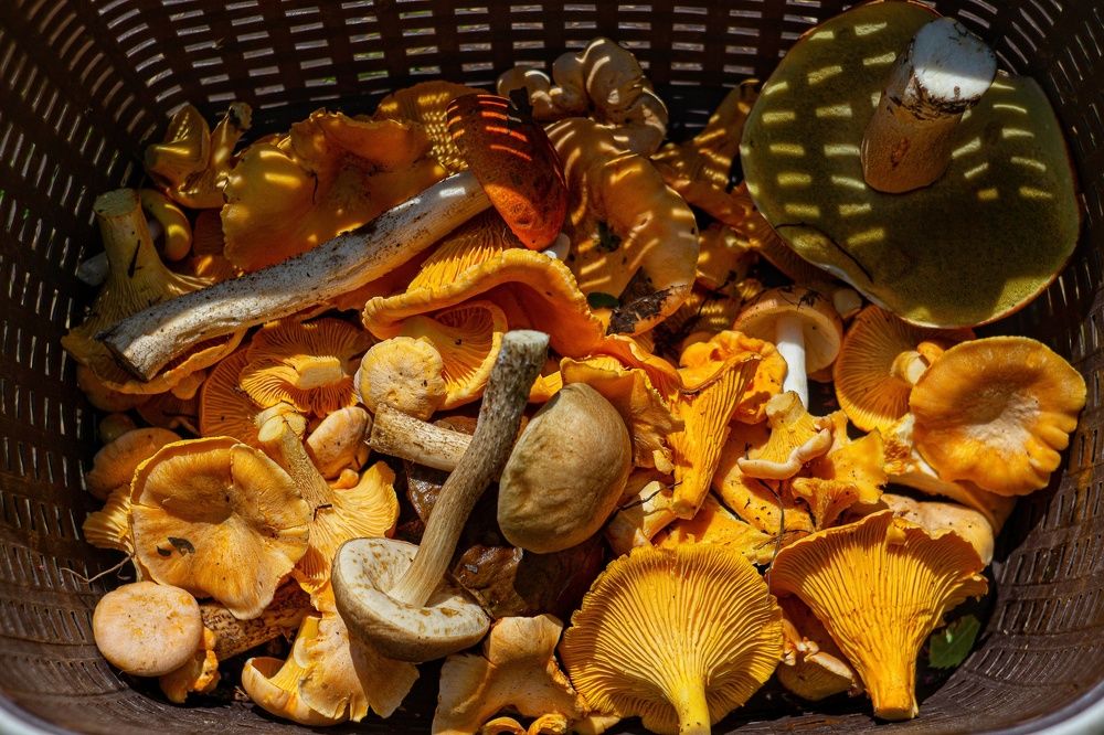 Photograph by Екатерина Першина