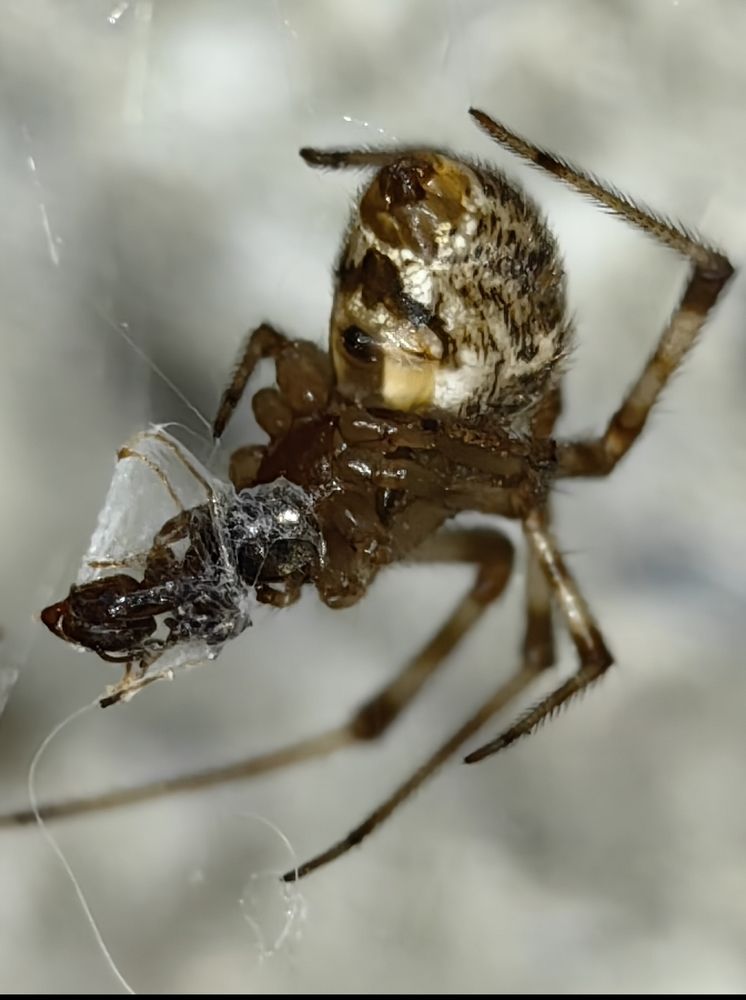 Photograph by Ирина Тихая