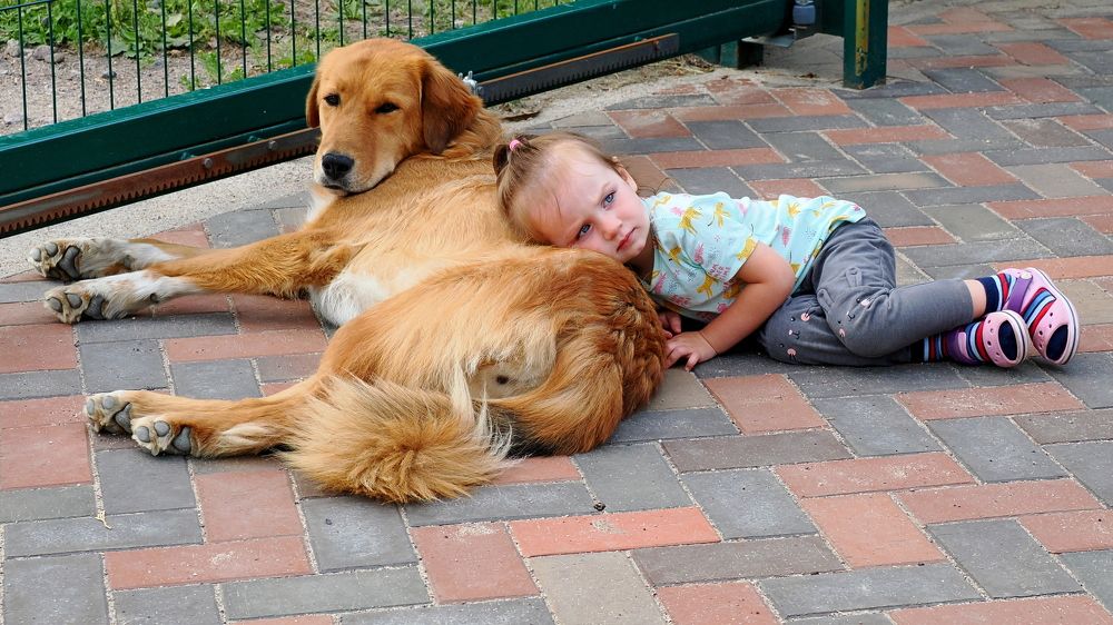 Photograph by николай зайцев