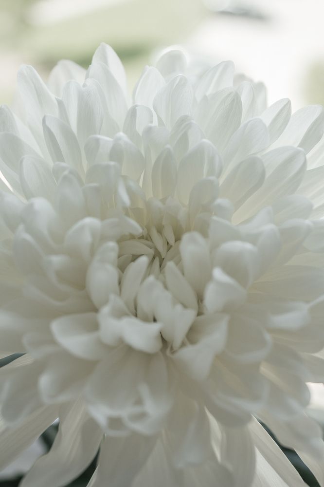 Photograph by Anna Dubinina