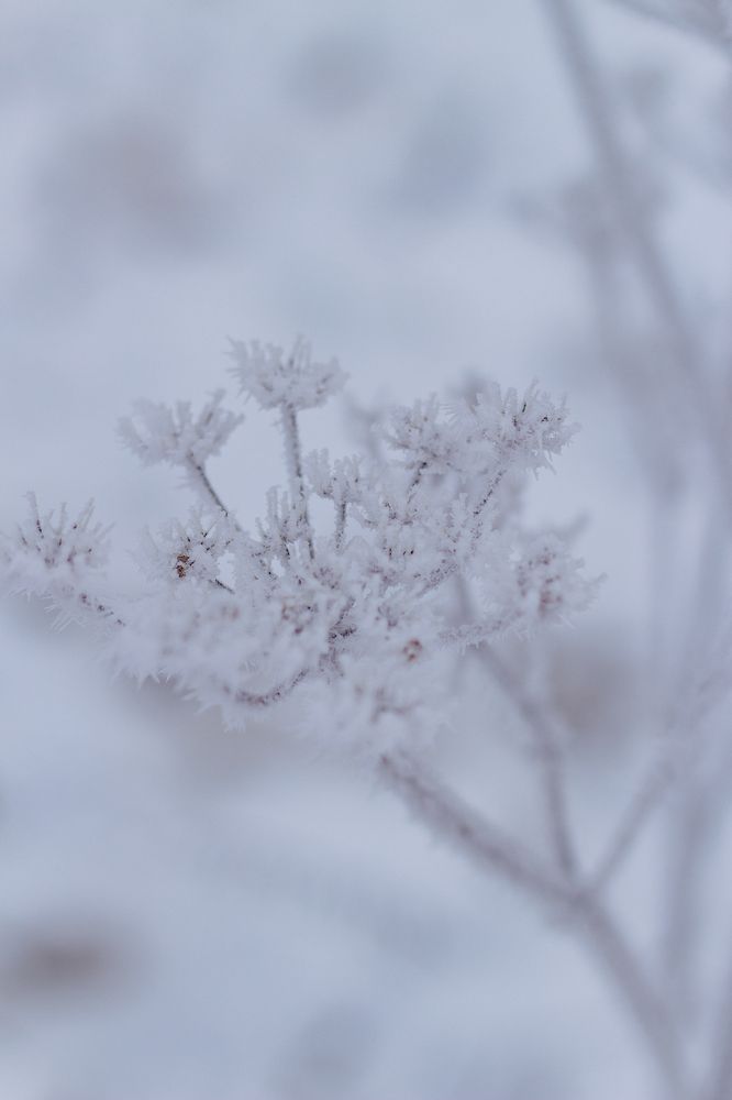 Photograph by Anna Dubinina