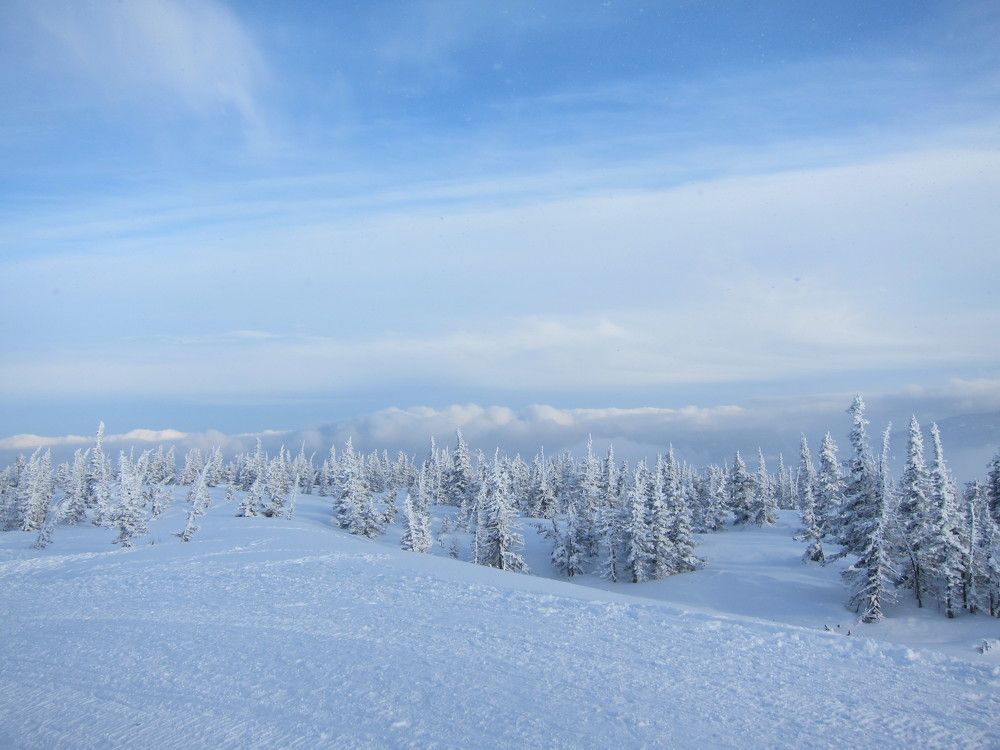 Photo #9476051