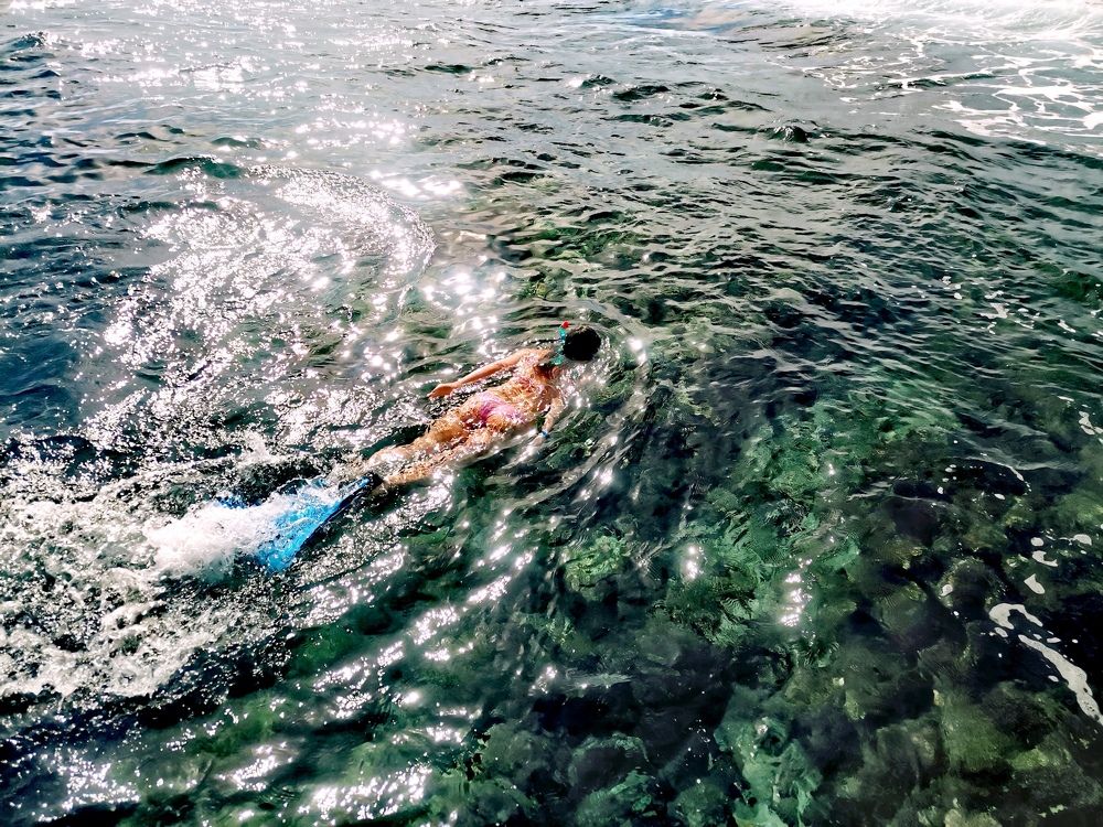 Фотография автора Ольга Тенилова