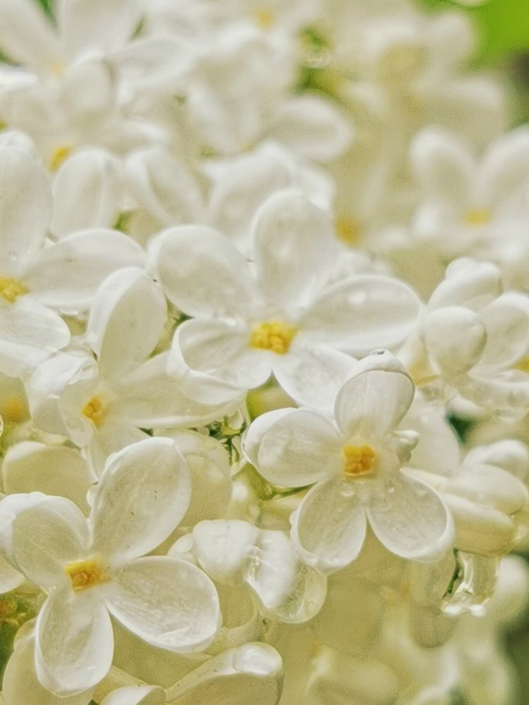 Photograph by Наталия Питолина