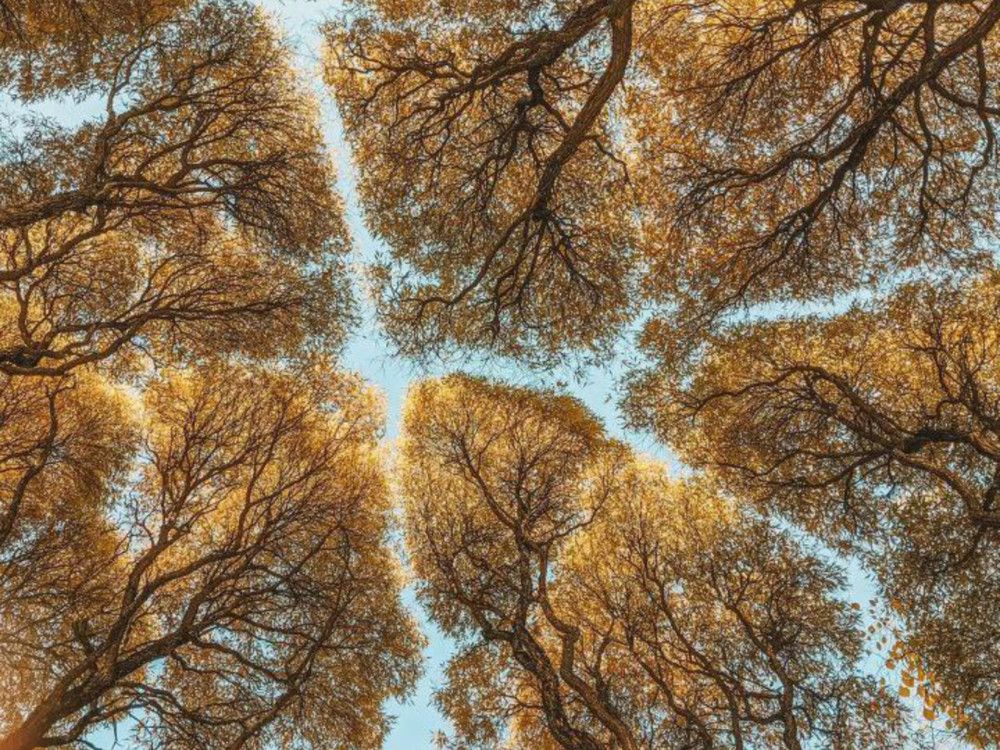 Photograph by Дарья Макаревич