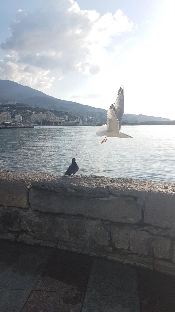 Фотография автора Ольга Мусина