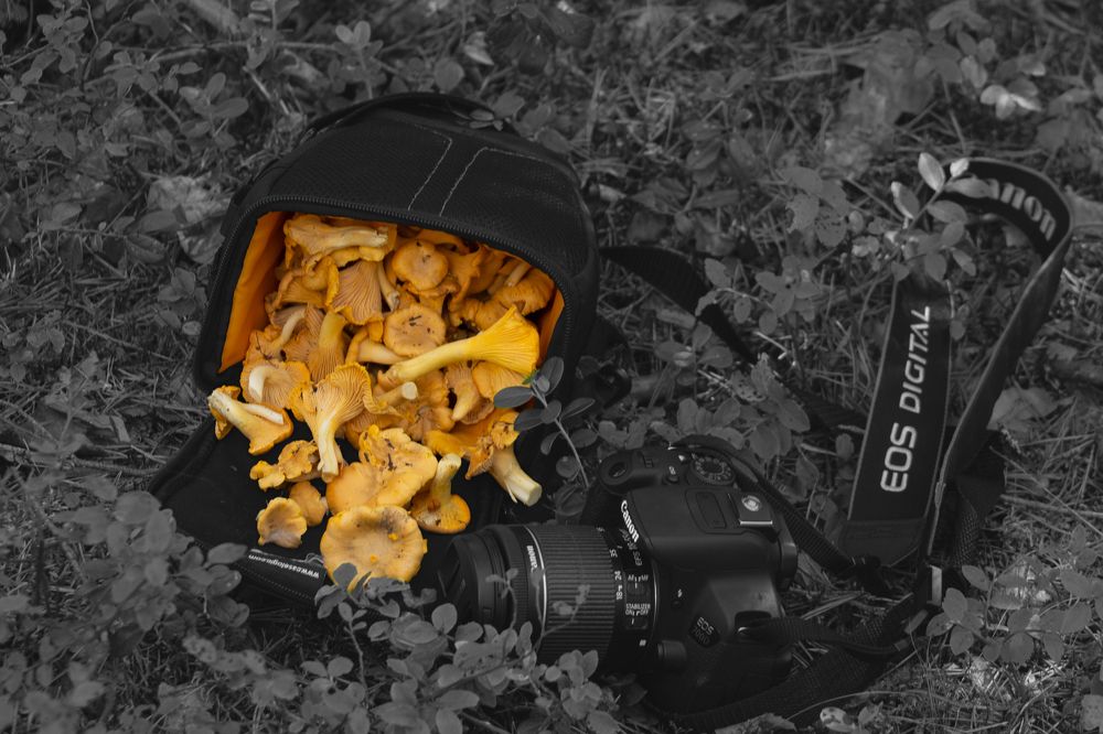 Photograph by Онейра Скриптор