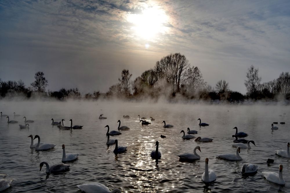 Photograph by Регина Джумалиева