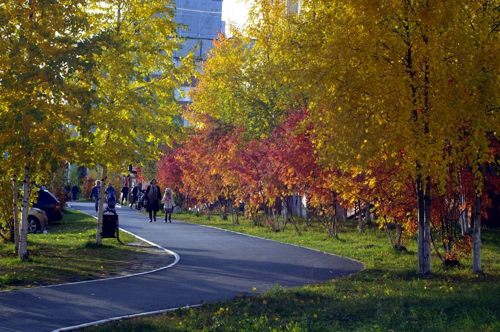 Осень в городе